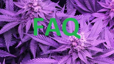 FAQ NY Cannabis Business